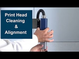 Domino CIJ Printer Trouble Shooting: Print head clean and alignment