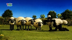 Shaun the Sheep S05E04 - A Prickly Problem