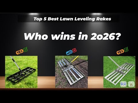 ✅ Top 5 Best Lawn Leveling Rakes [Watch This Before You Make a Choice!]