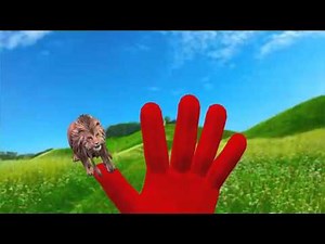 Lion Finger Family | Animal Finger Family Songs & Nursery Rhymes For Children from Monster Kids