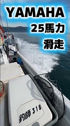 超人気ハンマーヘッドの兄貴艇は速いのか？