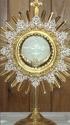 🙏Blessed Sacrament Live 🙏 Jesus, I adore You! 💖Eucharistic Adoration! 🙏