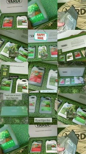 Building More Than a Plant Brand | The YARDi Journey