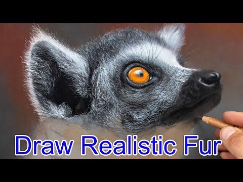 Drawing Realistic Fur With Pastel Pencils: Jason Morgan's Technique | Wildlife Art