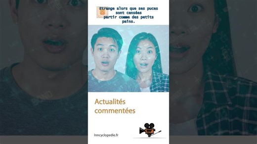 Nvidia va-t-elle dans le mur ? #nvidia #ia #intelligenceartificielle #finance | Pascal Corbel