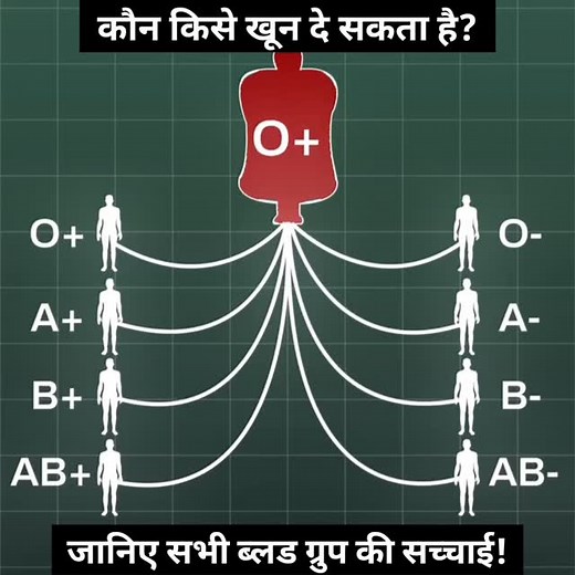 Doctor D Vlogs on Instagram: "Who Can Donate Blood to Whom? | Blood Group Compatibility Explained #BloodGroups #BloodDonation #UniversalDonor #UniversalRecipient #DonateBloodSaveLives #BloodCompatibility #BloodScience #MedicalFacts #HealthAwareness #Shorts #AnimationVideo #DoctorDVlogs #reel #reels #reelinstagram #reelkarofeelkaro #ReelComedy #reelsteady"