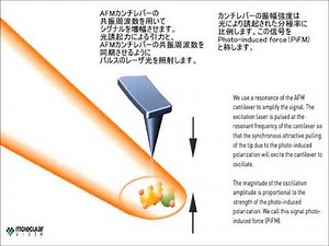 光誘起力顕微鏡 PiFM 紹介 日本語キャプション付き
