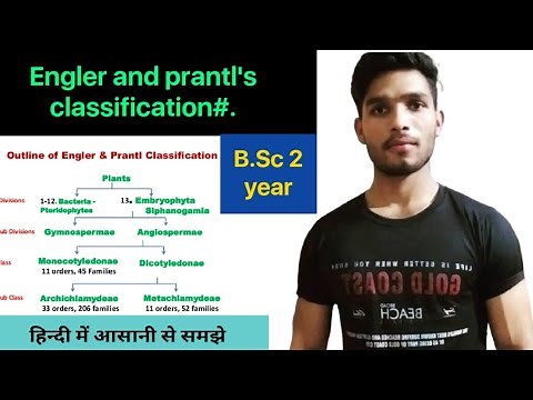 Engler and prantl's classification/ classification of Angiosperms