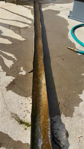 Go free Little crawfish! Cleaning up at Hole 'N Da Wall Seafood after a long and busy weekend ! #crawfish #crawfishboil #cleaning #seafood #landrys #swamppeople #JacobLandry #troylandry #swamp SWAMP PEOPLE - "Treeshakers"@topfans Troy Landry Duffy’s Gas Station Wiebe Knives Warthog Sharpeners USA Love The Landry's ( Swamp People ) Fan Group | Da Landry Life