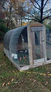 57K views · 1.7K reactions | Here’s a look at our hoop coop/chicken...