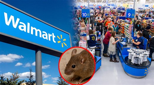 ALERTA en Walmart | Detectan RATAS en el supermercado, pese a que el primer reporte fue en diciembre 2025