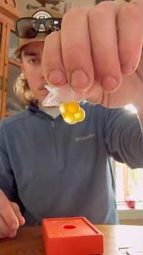 How to cure Salmon roe! #fishing #ontario #salmon #trout #howto #tutorial