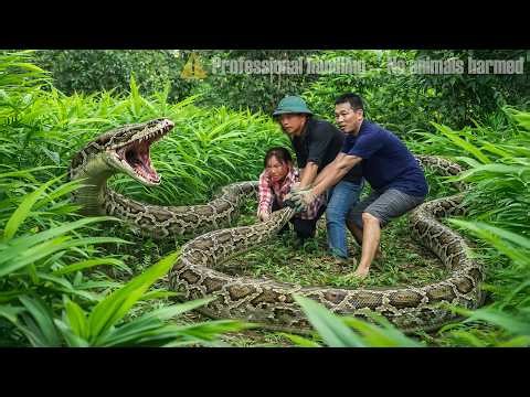 72 Hours Battling a Giant Python in the Jungle – A Life-or-Death Rescue Mission! 😱🐍
