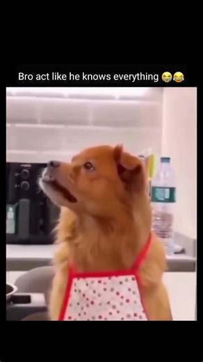 That's what controlling your temper looks like😂