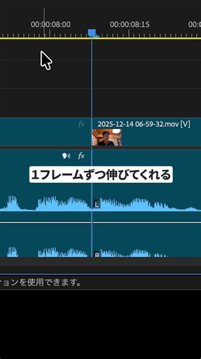 「プラストリミング」