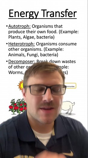 Energy Transfer in Ecosystems #heterotroph #autotroph #decomposer #photosynthesis #cellularrespiration #greenscreen