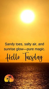 Sandy toes, salty air, and sunrise glow—pure magic. Hello Tuesday! | I Love The Beach Trips