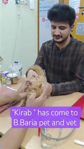 কাশ্মিরের কাশিফ কাইরাব কে নিয়ে এলো ডাঃ হাবিবুননবী স্যারের কাছে