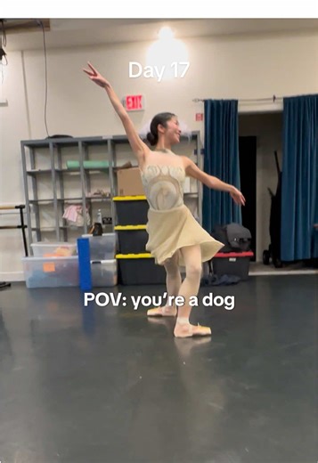 I love studio dogs❤️ #ballet #balletdancer #fouettes #pointeshoes #fyp