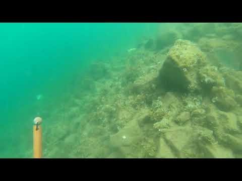 Marine Aquarium Fish Collecting