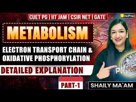 Metabolism 🔥| Electron Transport Chain & Oxidative Phosphorylation | Part-1| VedPrep Biology Academy