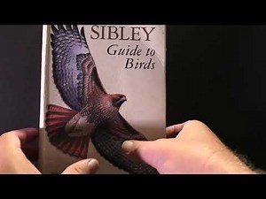 Birding Field Guides