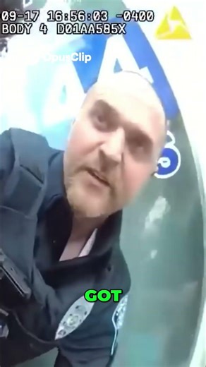 Intense Survival Caught in the Crossfire!