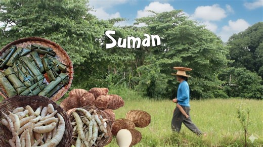 Hidden root crops of the Philippines | Cooking galyang & uraro suman