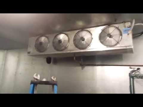 Walk in Cooler. Full Detail. Evaporator Cleaning. After.