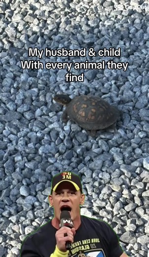 Be it a dog in a parking lot or a turtle on the road… they want to bring it home. Where are we gonna put it?! Not an issue they care about…