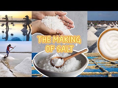 The Making of Salt | Macmillan Education India