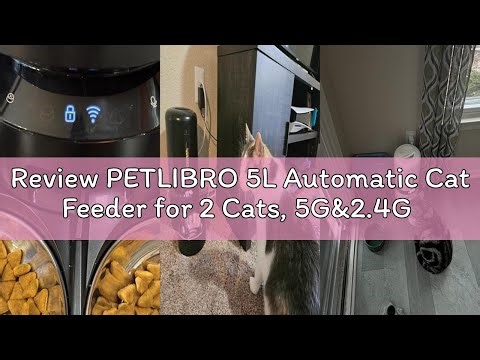 Review PETLIBRO 5L Automatic Cat Feeder for 2 Cats, 5G&2.4G Wi-Fi Programmable Cat Food Dispenser wi