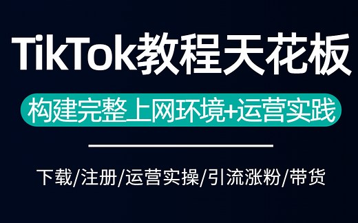 【tiktok怎么在国内使用】不愧是公认讲的最好【tiktok教程天花板】字节技术大佬12小时带你从入门到进阶（tiktok下载/tiktok小店最新教程）