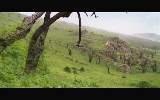 环保宣传片 保护环境 生态平衡