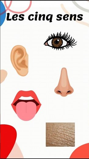 Les cinq sens pour enfants / Learn the five senses in French