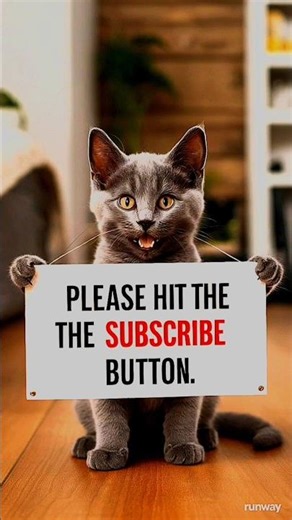 Gray cat made fun of for eating raspberries 🐈#shorts