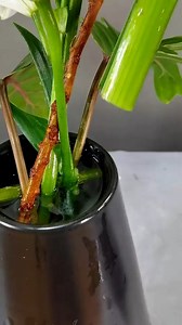 Flower Arranging Art #FlowerArt | How To Make | Facebook