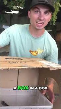 They Put an ANGRY Lizard in The BOX!! 😱