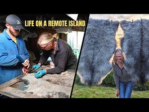 Turning sheepskins into beautiful rugs by hand in Orkney