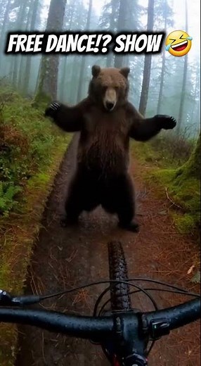 Free Dance Service: Bear Guarantees a Stand-Up Performance!🤣😂