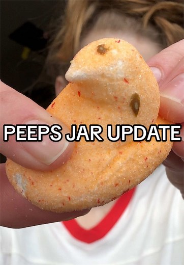 Stale Peeps Jar Update: Still Edible?