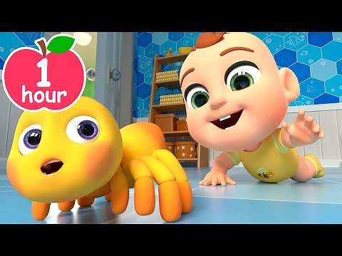 Itsy Bitsy Spider Song | Newborn Baby Songs & Nursery Rhymes