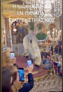 1M views · 5.6K reactions | #papagal #parrots #parrot #arimiculalexander #funnyparrot #funnyparrots #crazyparrots #birds #indianringneck #indianringneckparrots #alexandrineparrots #forpuscoelestis #pacificparrolet #animals #funnyanimals #鸚鵡 #Yīngwǔ #aengmusae #Ōmu #папагал #crazyanimals #smartparrot #animale #crazybirds #psittacus #pappagallo #perroquet | Claudia Maier | Facebook