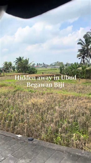 Don’t think I’ve ever seen anyone talk about this spot! Begawan Biji a sensational farm to fork restaurant in Ubud #ubudrestaurant #ubudrecommendations #ubudguide #balifood