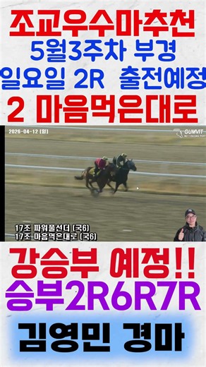 5월4주차 부경 일요일 2경주 출전예정 '2마음먹은대로'꼭! 주목해보세요! #shorts #김영민경마 #경마