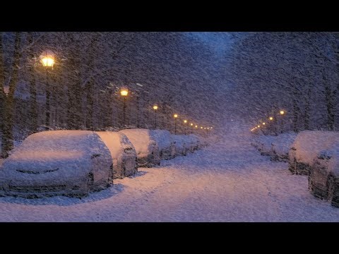 Snowstorm Winter | Calming Snowstorm Sounds to Sleep at Night | Howling Wind & Blowing Snow
