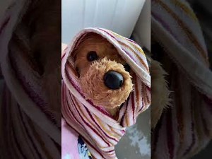 Essa comp #9 (extra long special!) || 20+ minutes of ESSA tiktoks)