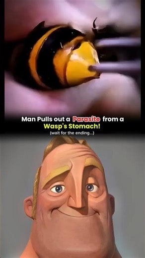 How Dangerous Parasites Inside Honeybees Actually Are! 🐝🦠 | Dark Nature