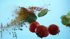 Tomato explosion Exotic Spices chili peppercorn bay leaf curry collide on blue backgroun super slow motion 1000fps