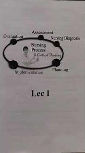 Nursing Process Explained in 60 Seconds! ⏱️Quick guide for nursing students. #NursingProcess #Nurse